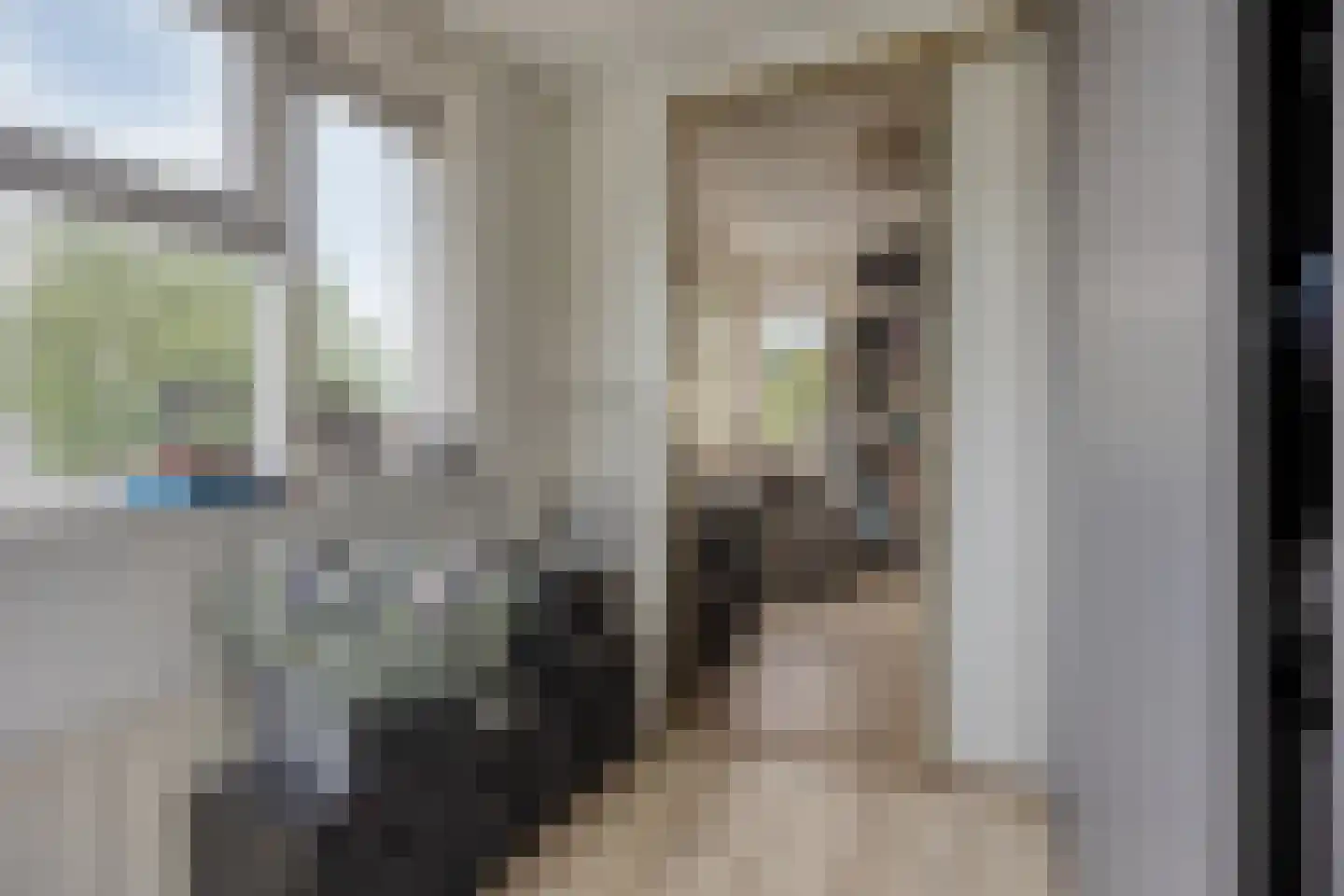 Diepsmeer 7 Heerhugowaard thumbnail 34
