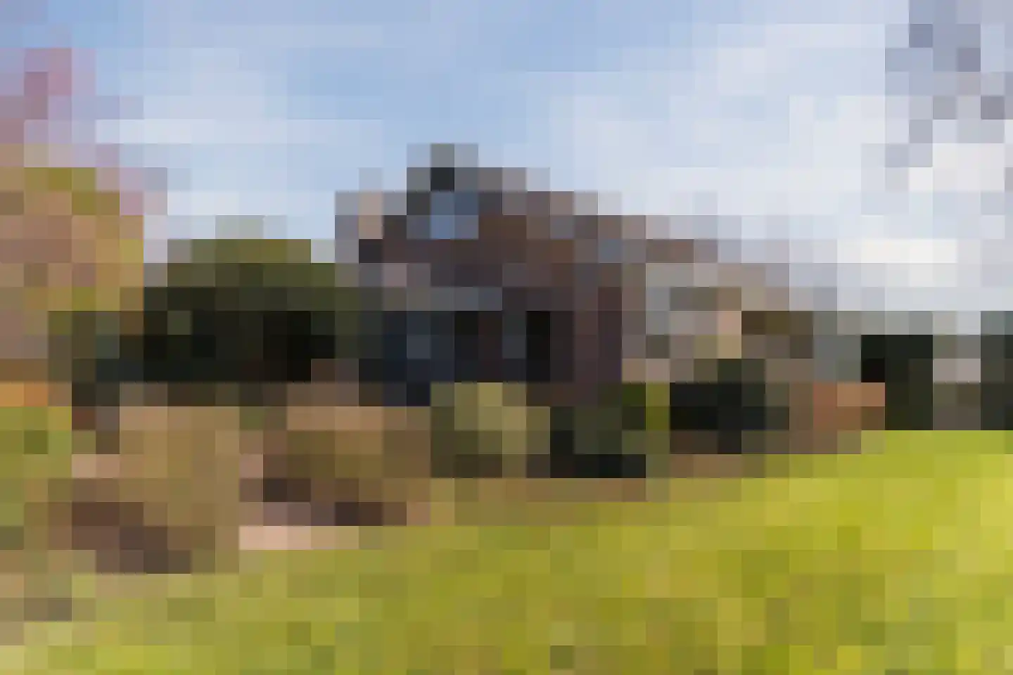 Diepsmeerweg 58 Warmenhuizen thumbnail 11
