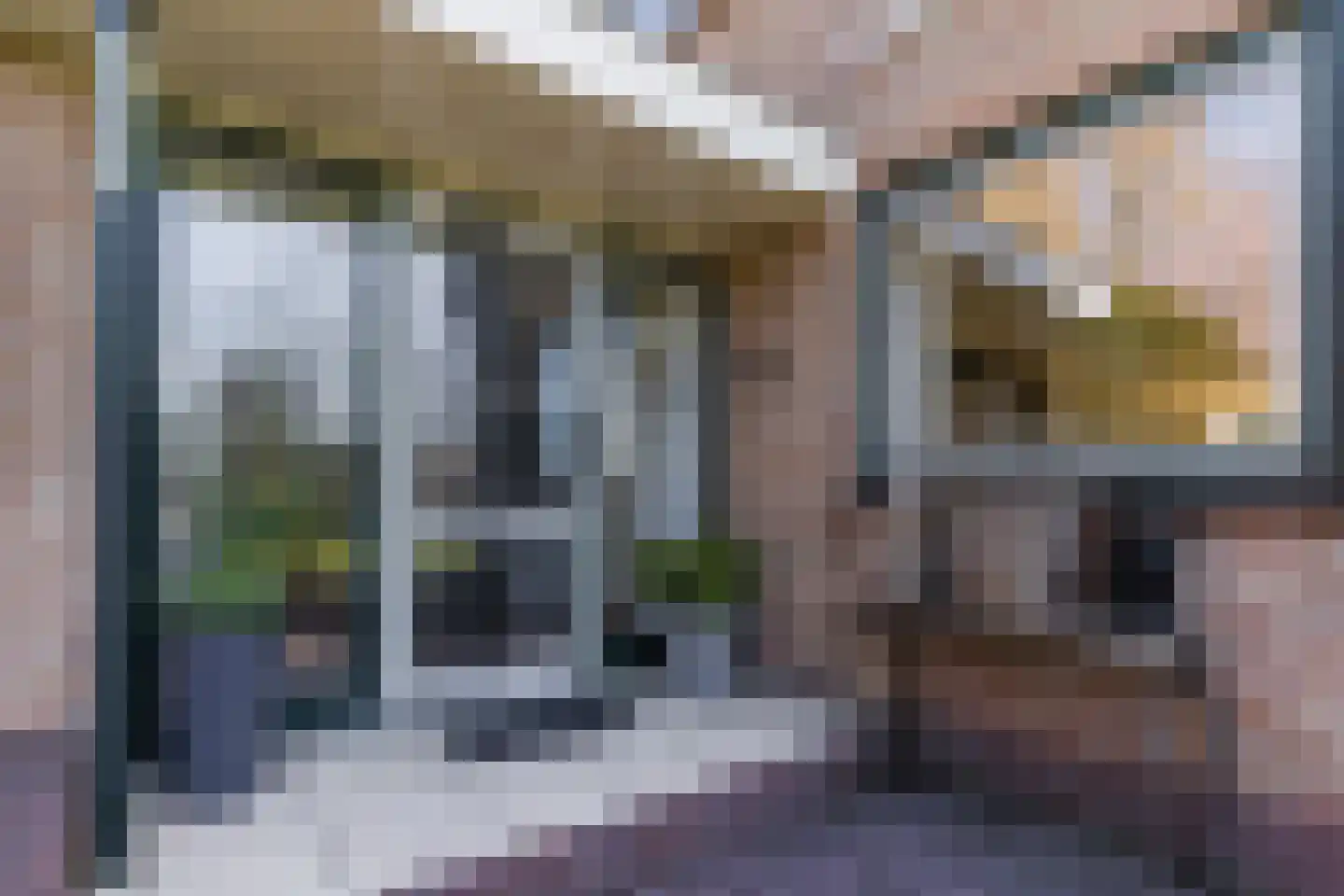 Diepsmeerweg 58 Warmenhuizen thumbnail 13