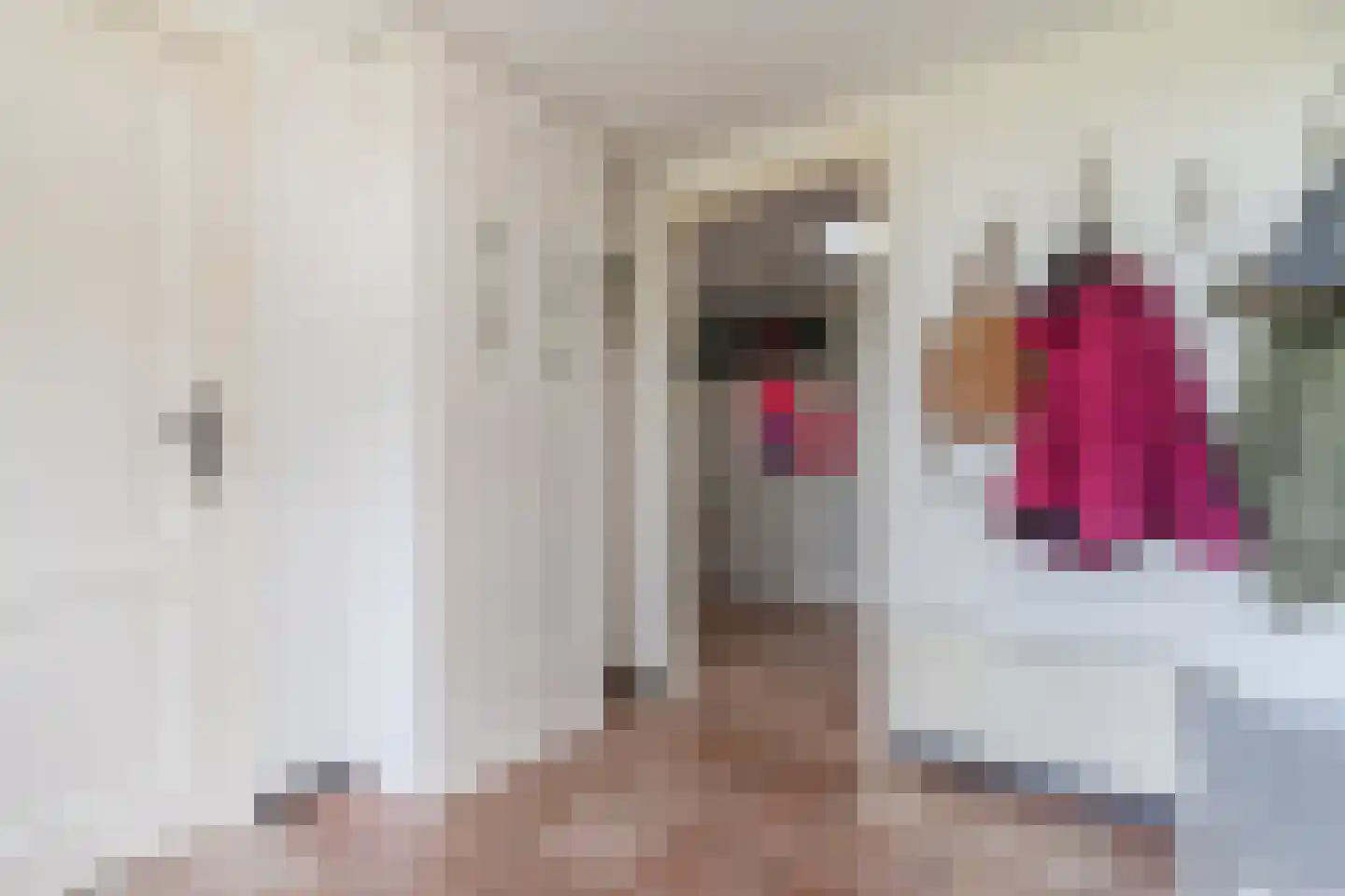 Diepsmeerweg 58 Warmenhuizen thumbnail 15