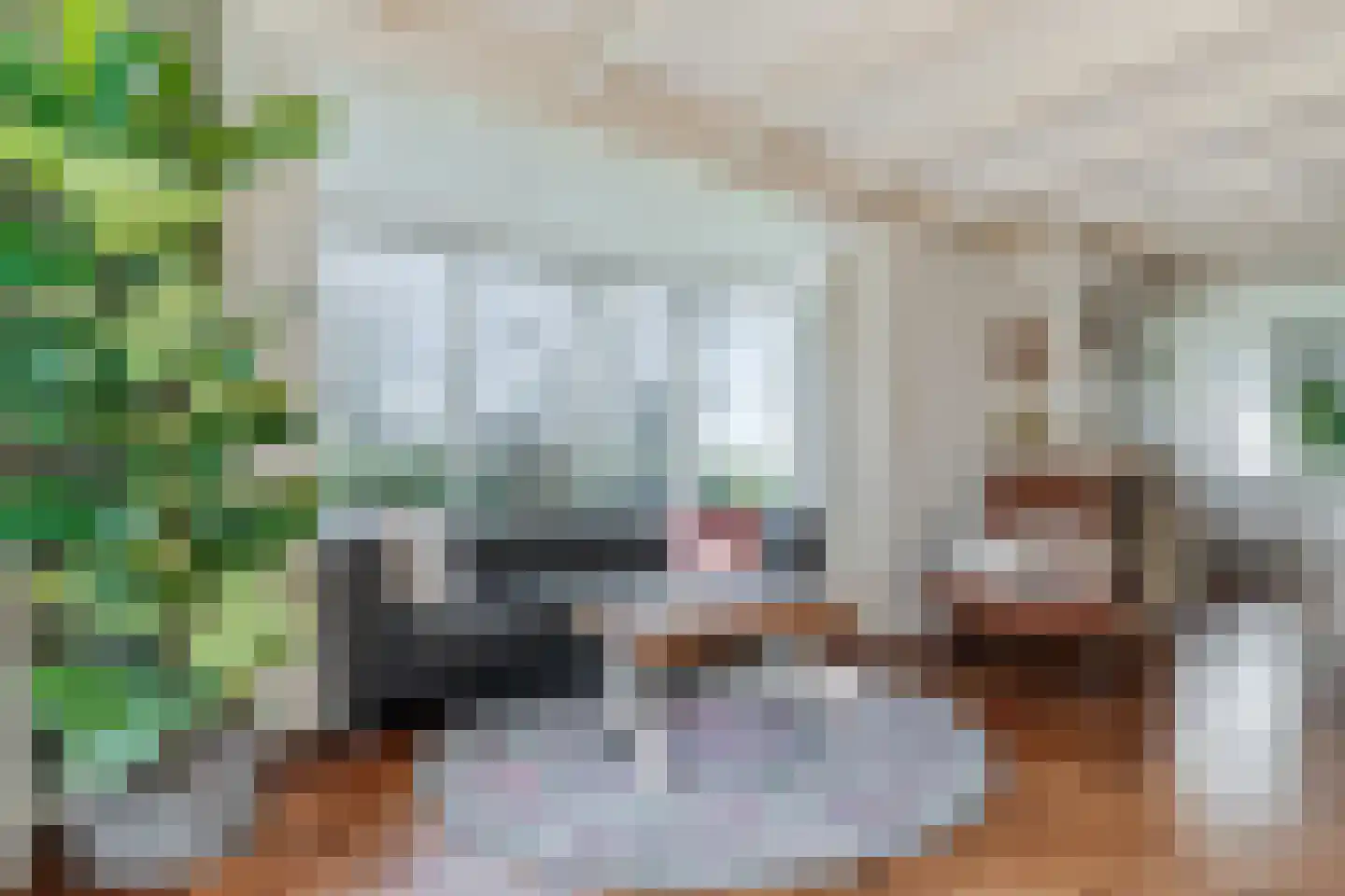 Diepsmeerweg 58 Warmenhuizen thumbnail 18