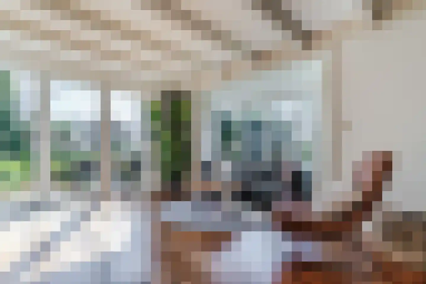 Diepsmeerweg 58 Warmenhuizen thumbnail 18