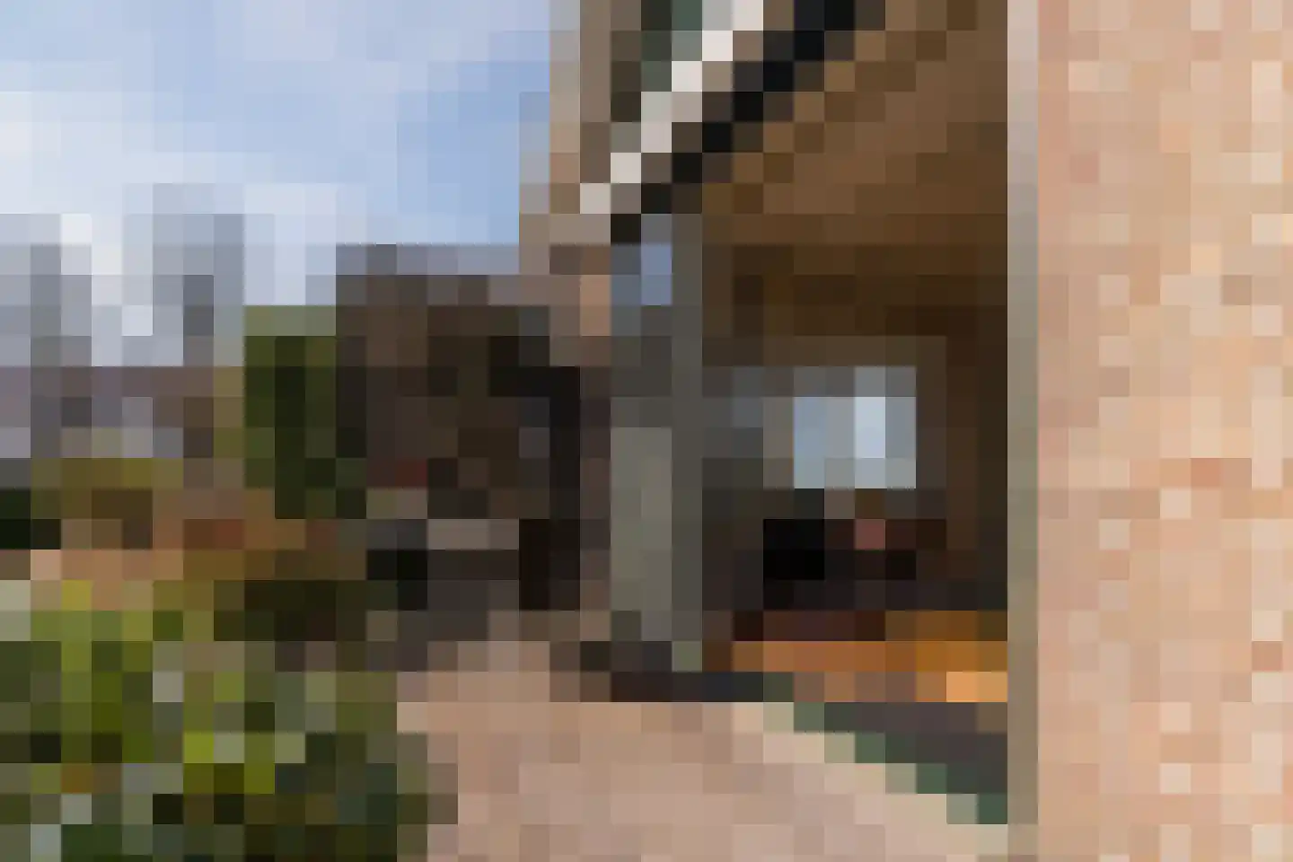 Diepsmeerweg 58 Warmenhuizen thumbnail 21