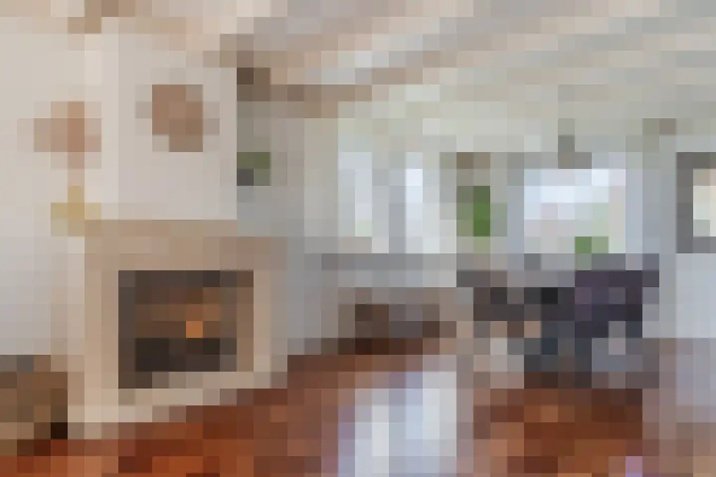 Diepsmeerweg 58 Warmenhuizen thumbnail 24