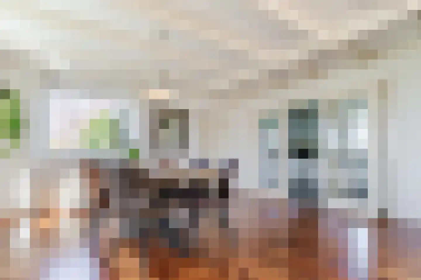 Diepsmeerweg 58 Warmenhuizen thumbnail 24