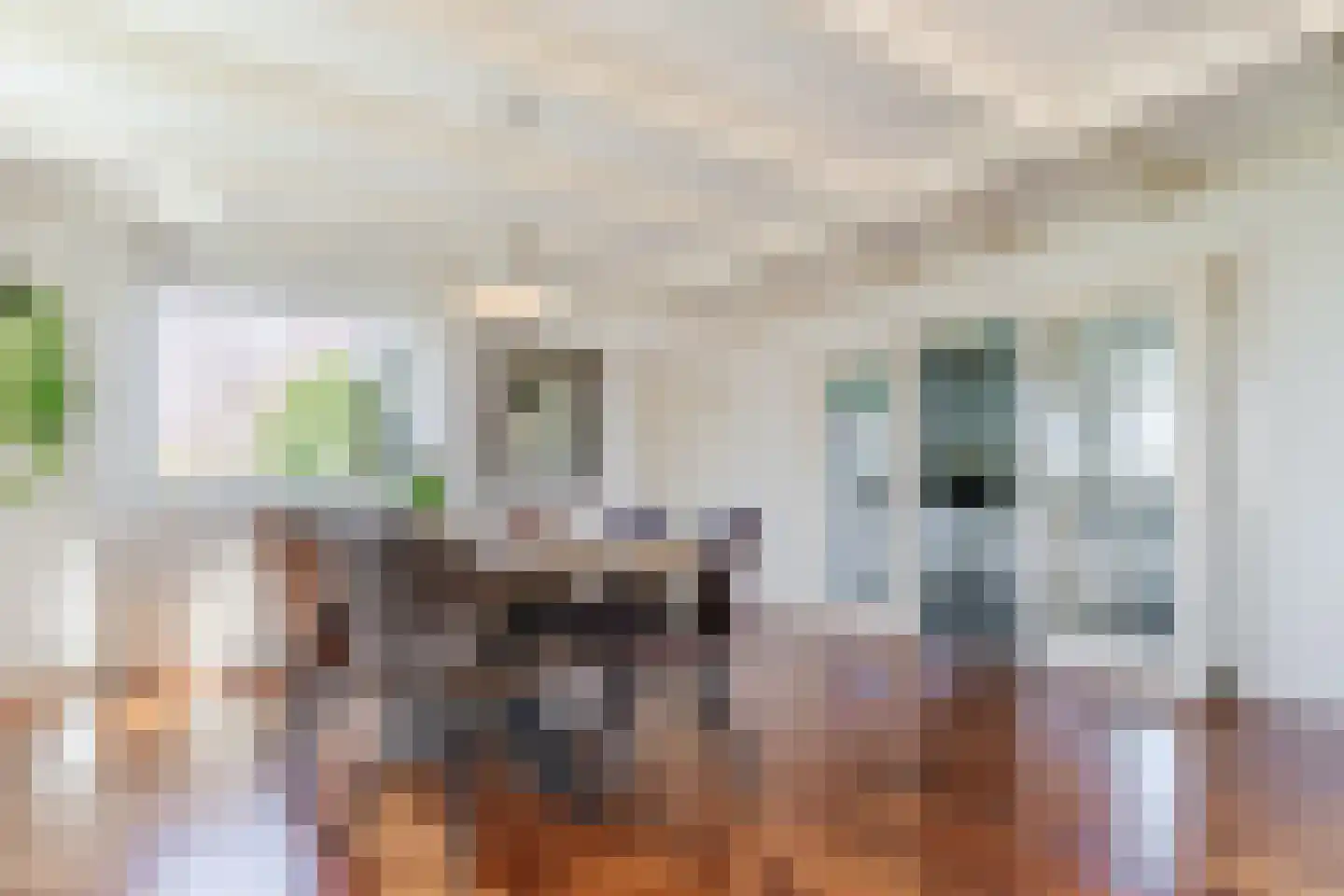 Diepsmeerweg 58 Warmenhuizen thumbnail 25