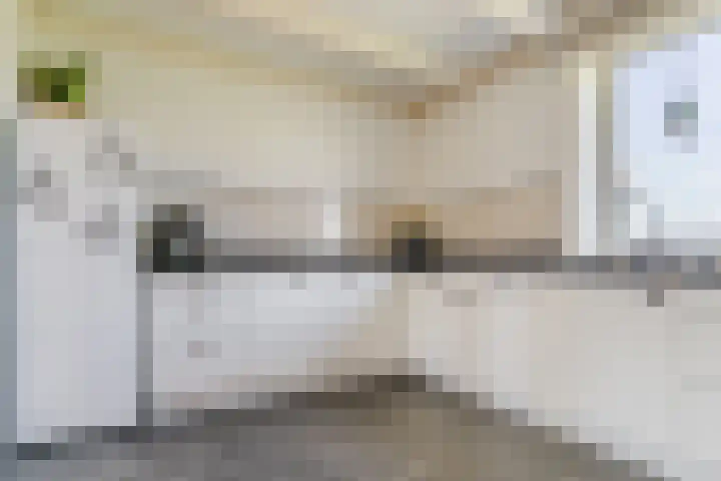 Diepsmeerweg 58 Warmenhuizen thumbnail 27