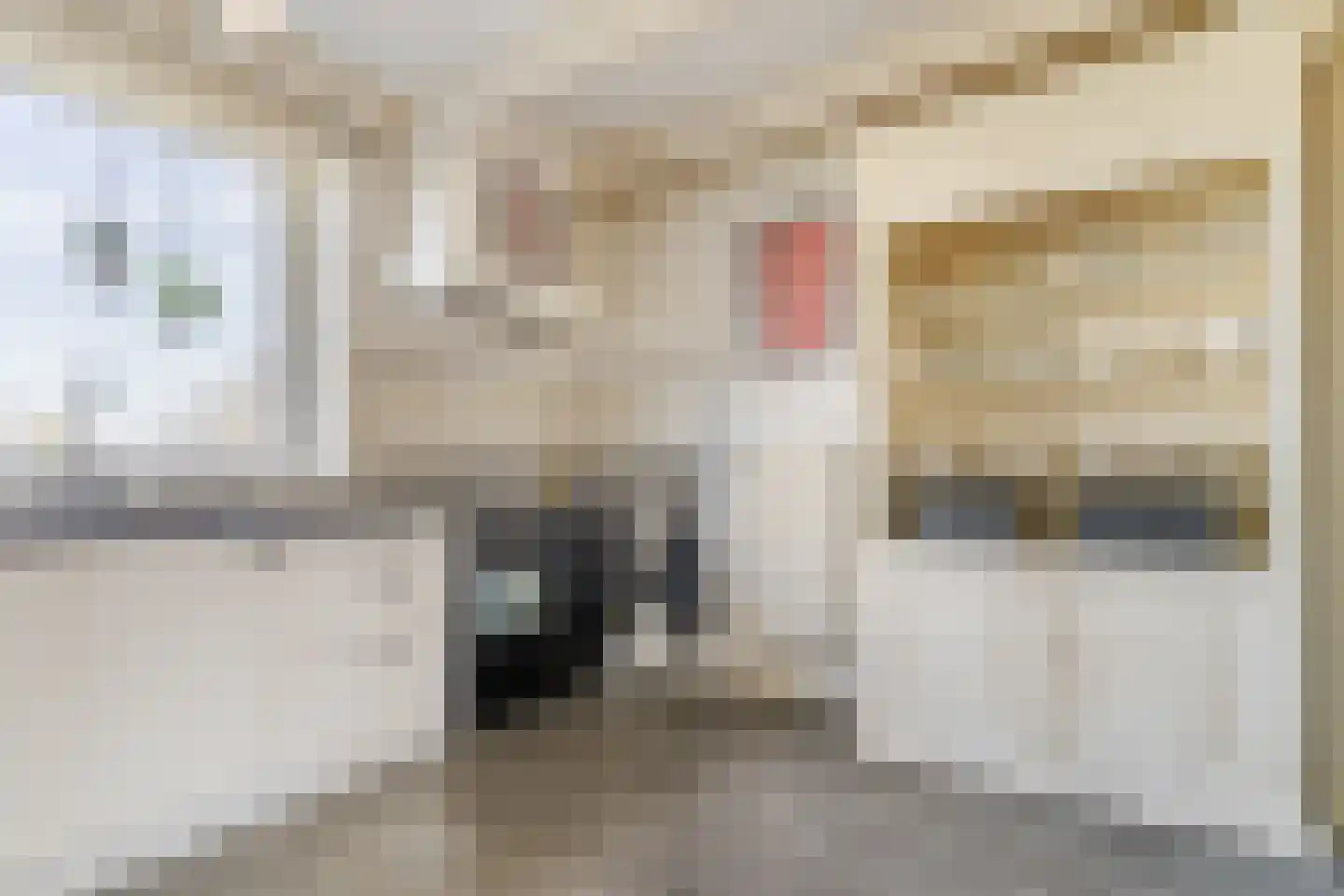 Diepsmeerweg 58 Warmenhuizen thumbnail 29