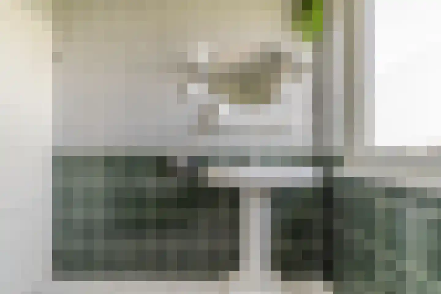 Diepsmeerweg 58 Warmenhuizen thumbnail 32
