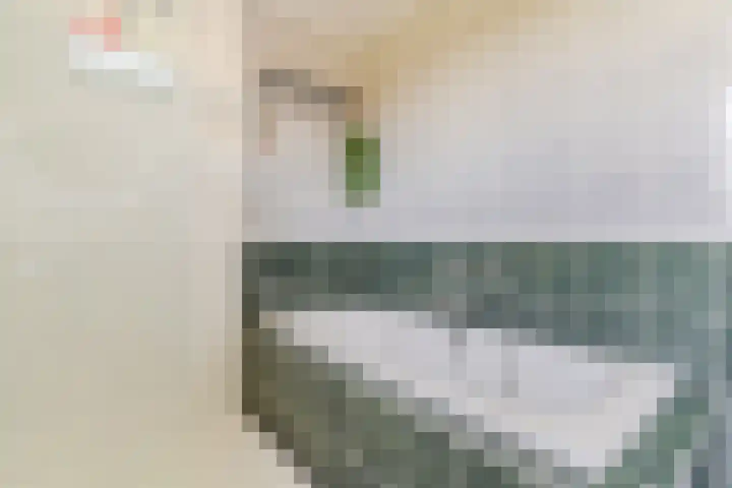 Diepsmeerweg 58 Warmenhuizen thumbnail 34
