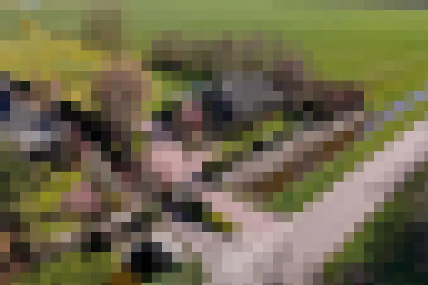 Diepsmeerweg 58 Warmenhuizen thumbnail 4