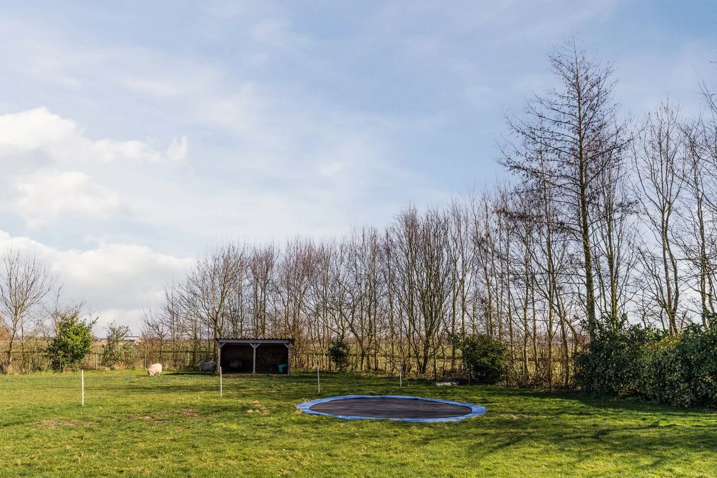 Diepsmeerweg 58 Warmenhuizen thumbnail 45