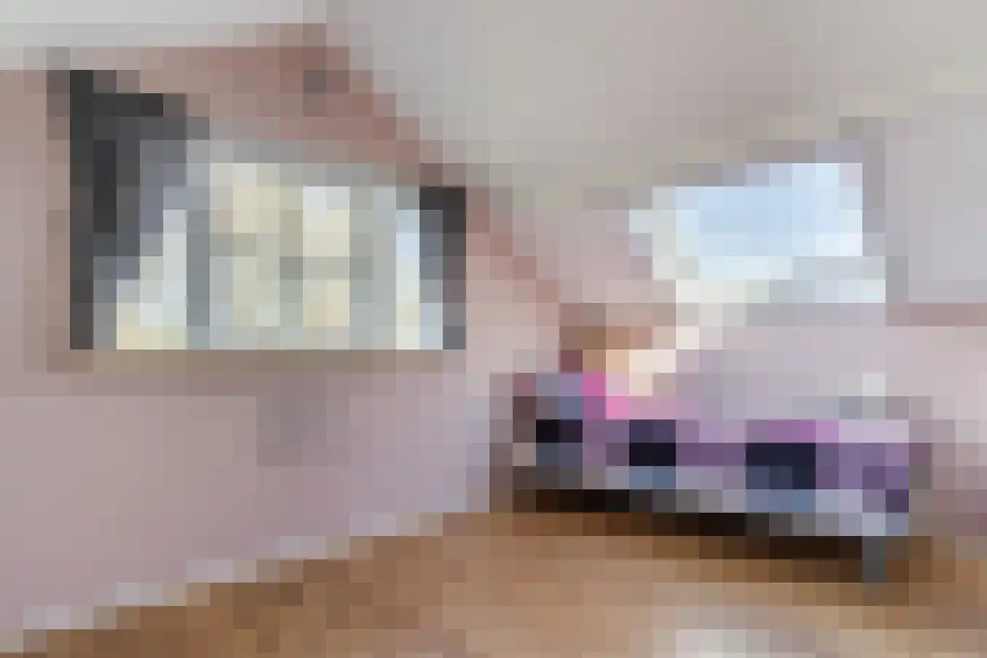 Diepsmeerweg 58 Warmenhuizen thumbnail 51