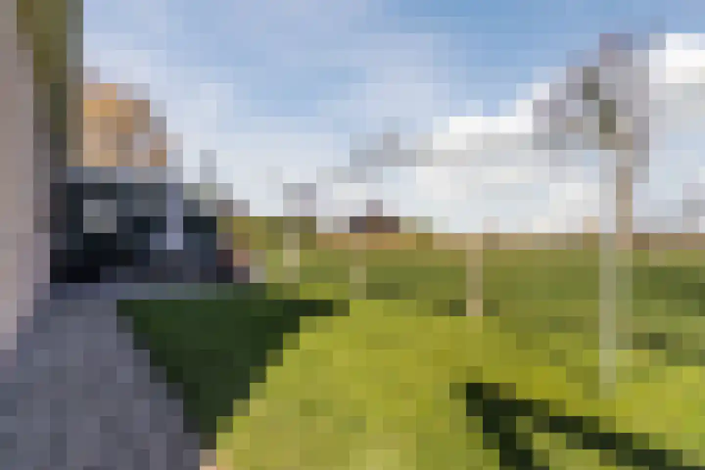 Diepsmeerweg 58 Warmenhuizen thumbnail 57