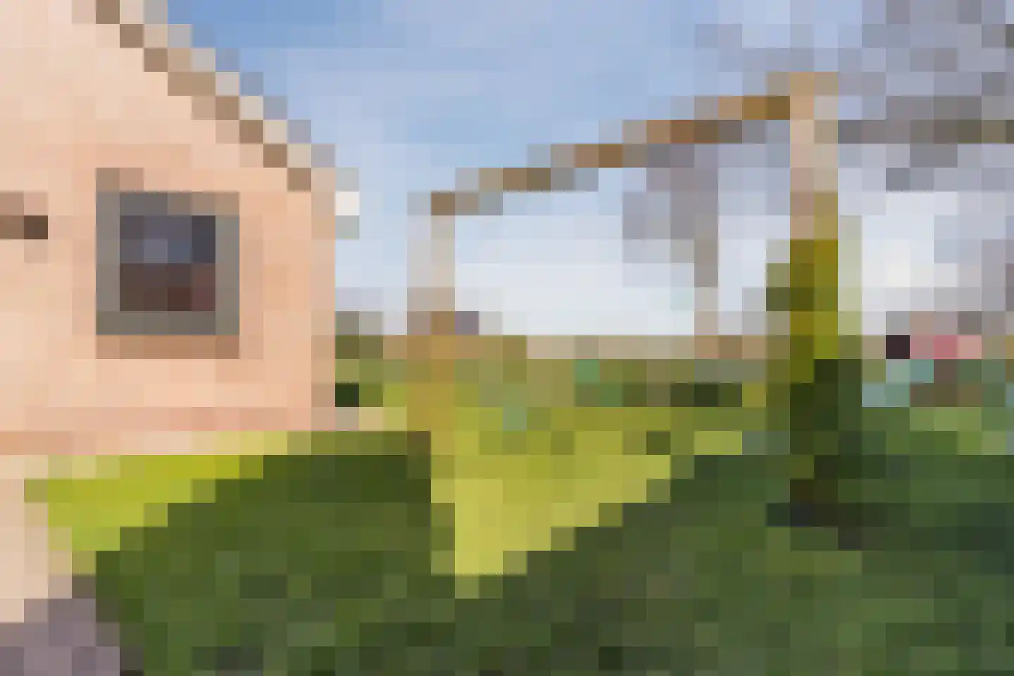 Diepsmeerweg 58 Warmenhuizen thumbnail 58