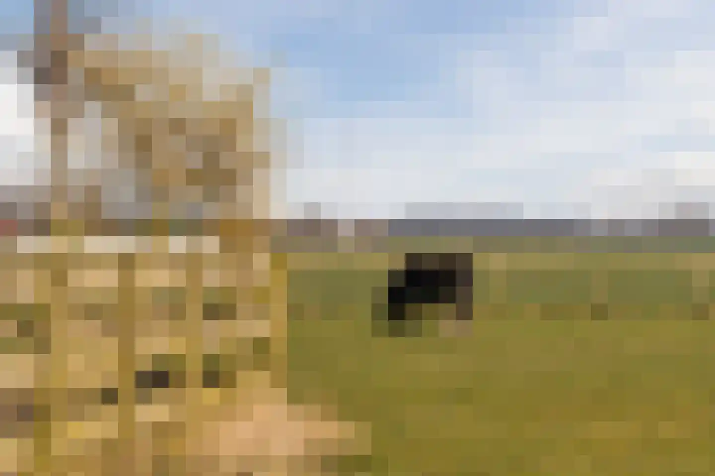 Diepsmeerweg 58 Warmenhuizen thumbnail 6
