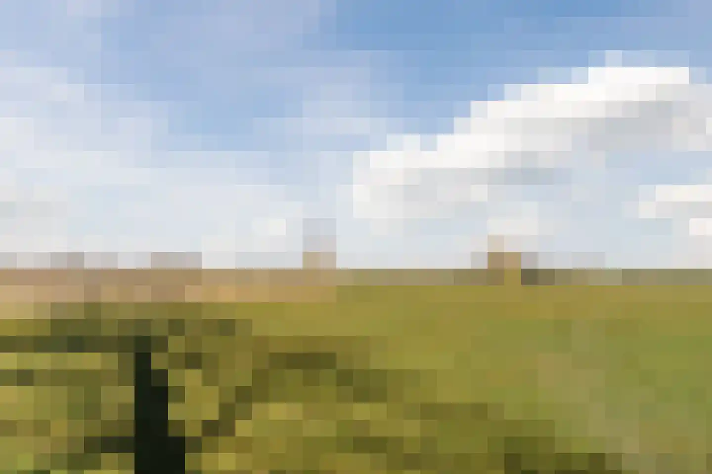 Diepsmeerweg 58 Warmenhuizen thumbnail 64