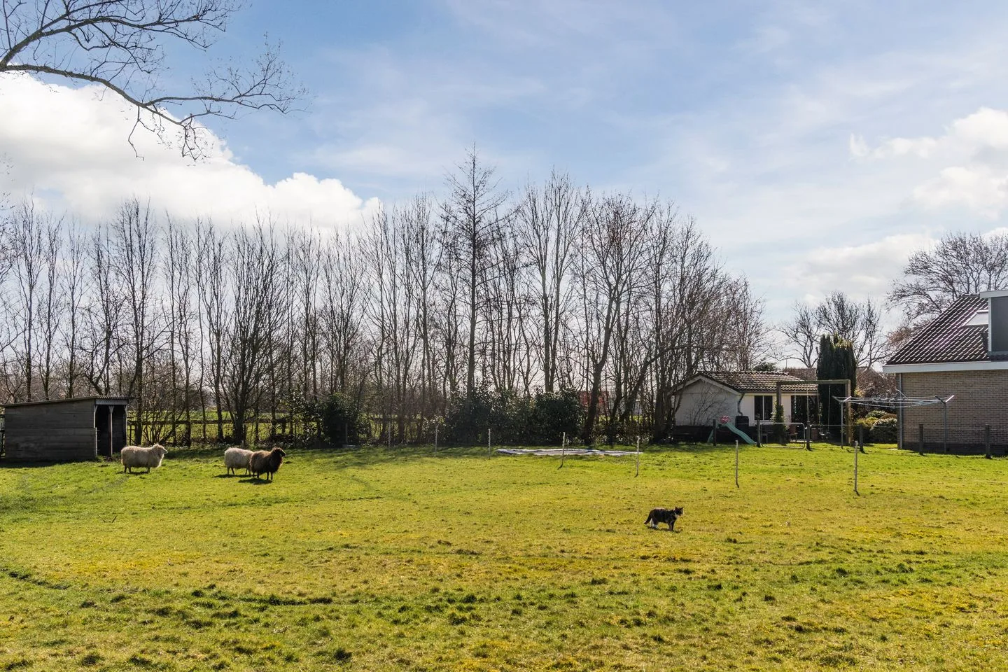 Diepsmeerweg 58 Warmenhuizen thumbnail 64