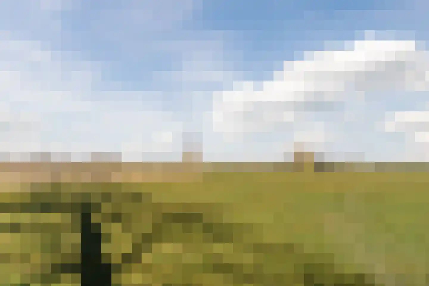 Diepsmeerweg 58 Warmenhuizen thumbnail 65