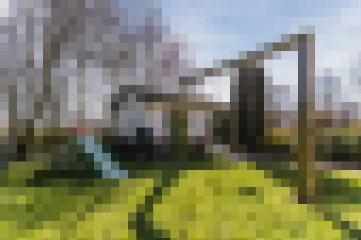 Diepsmeerweg 58 Warmenhuizen thumbnail 66