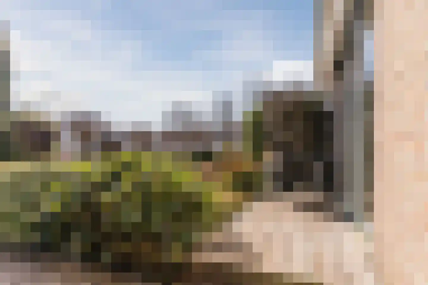 Diepsmeerweg 58 Warmenhuizen thumbnail 67