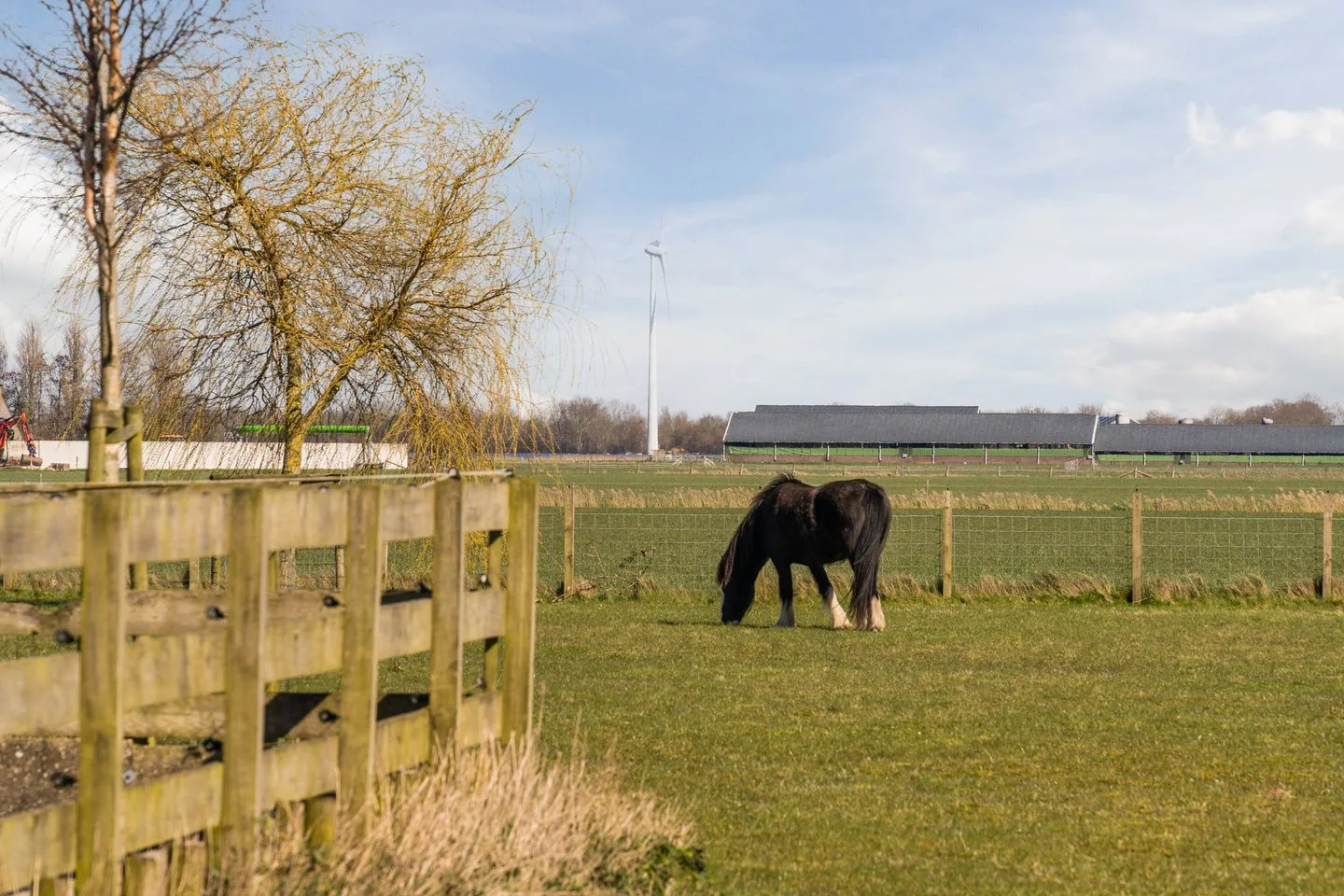 Diepsmeerweg 58 Warmenhuizen thumbnail 7