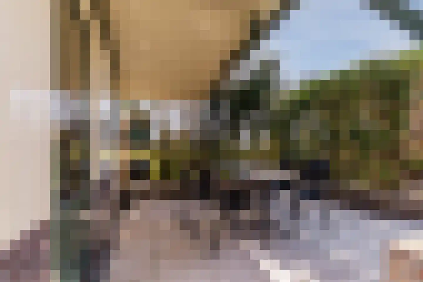 Diepsmeerweg 58 Warmenhuizen thumbnail 72