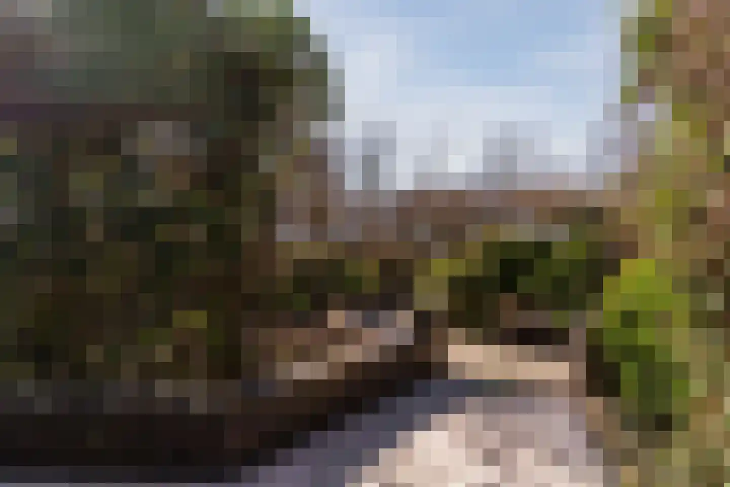 Diepsmeerweg 58 Warmenhuizen thumbnail 73