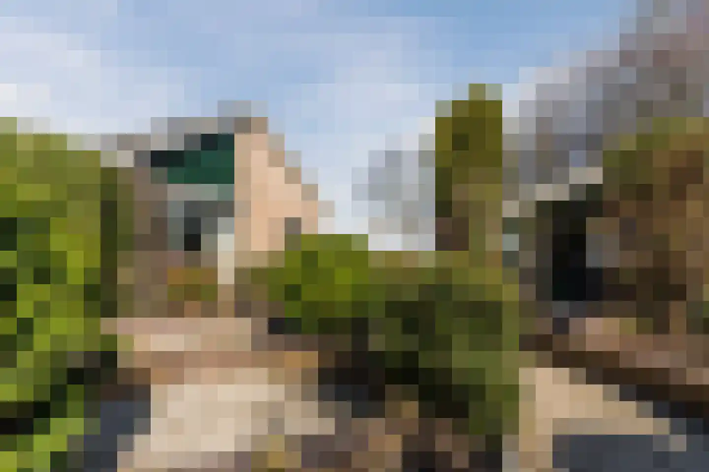 Diepsmeerweg 58 Warmenhuizen thumbnail 74