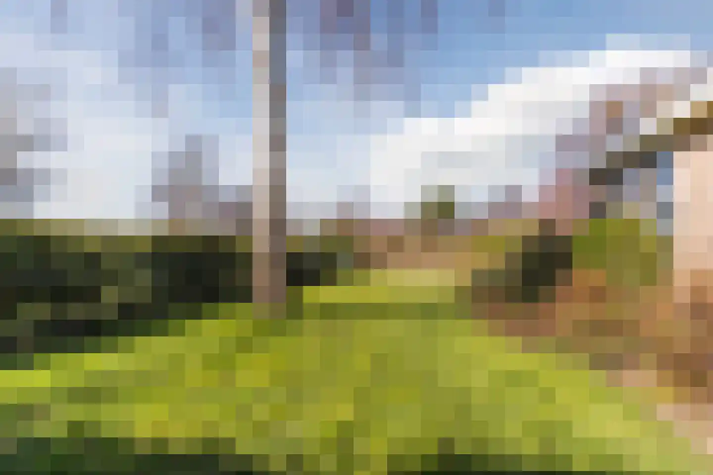 Diepsmeerweg 58 Warmenhuizen thumbnail 75
