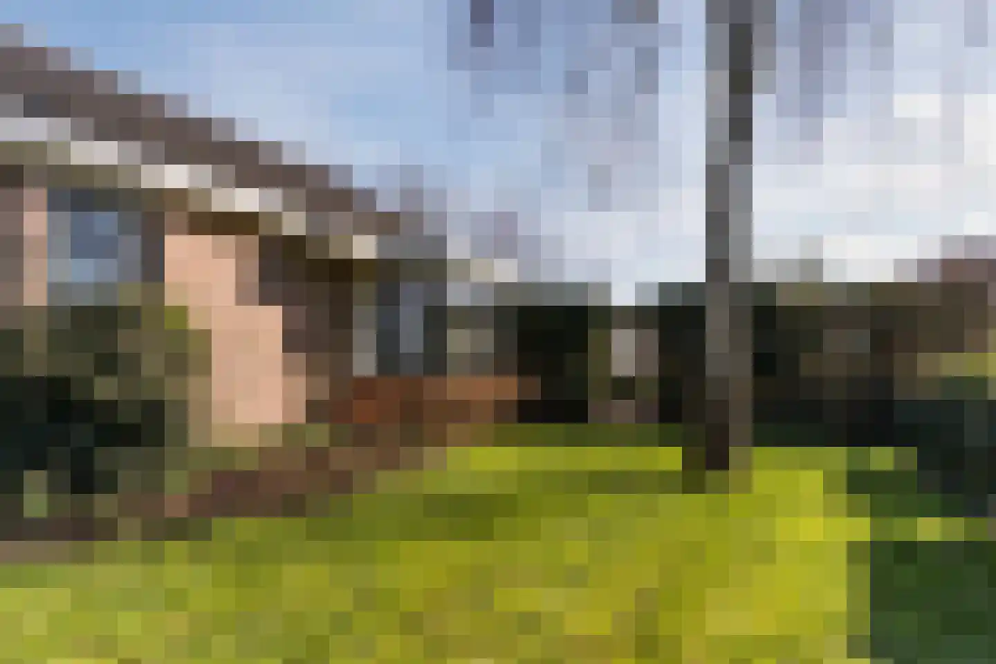 Diepsmeerweg 58 Warmenhuizen thumbnail 77