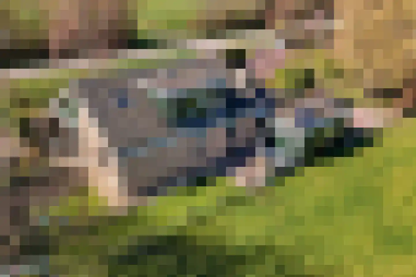 Diepsmeerweg 58 Warmenhuizen thumbnail 79
