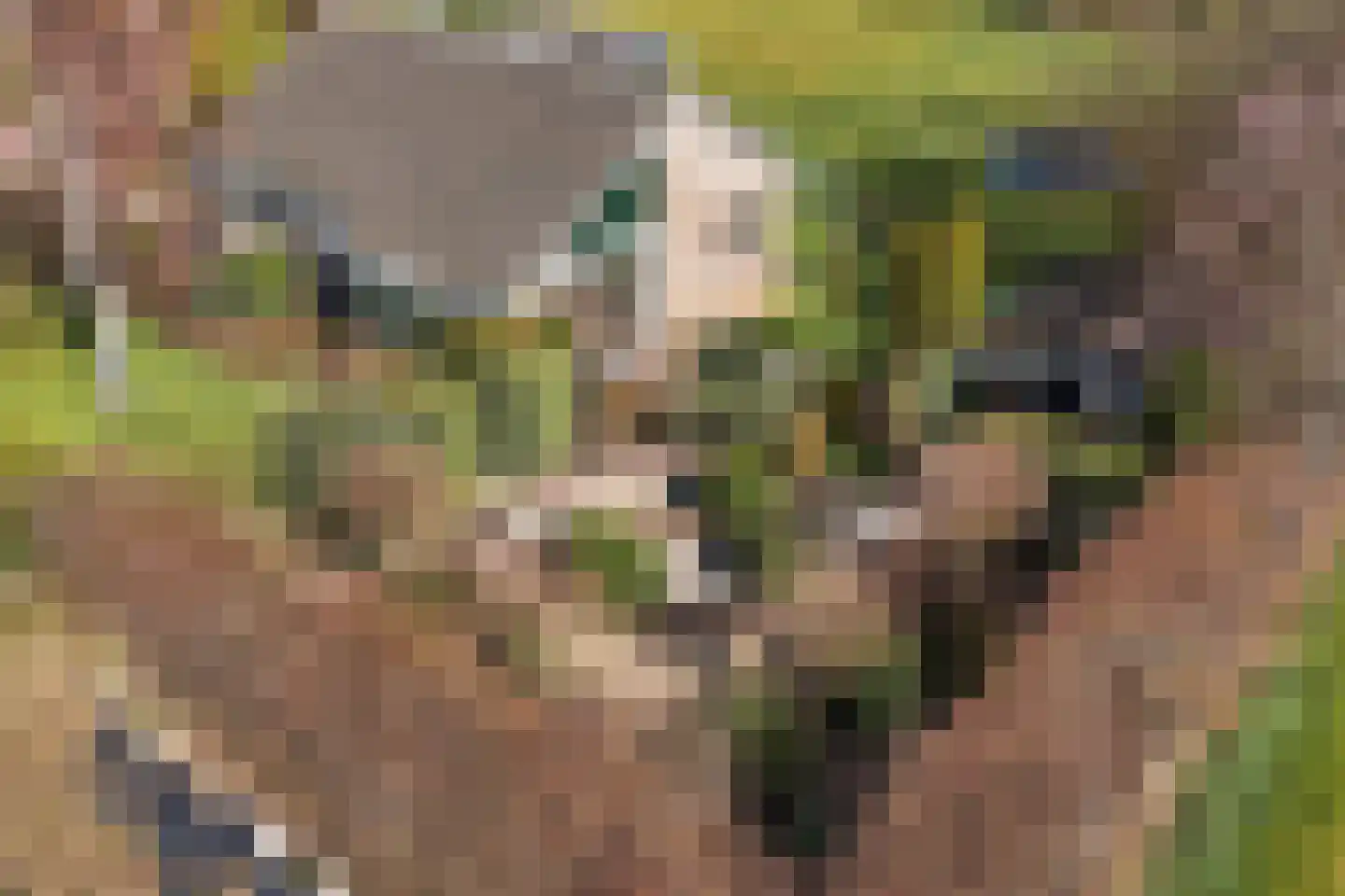Diepsmeerweg 58 Warmenhuizen thumbnail 79
