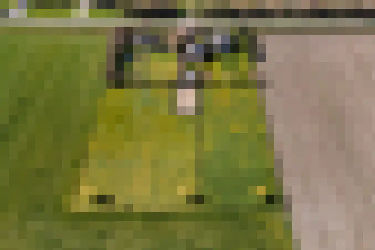 Diepsmeerweg 58 Warmenhuizen thumbnail 80