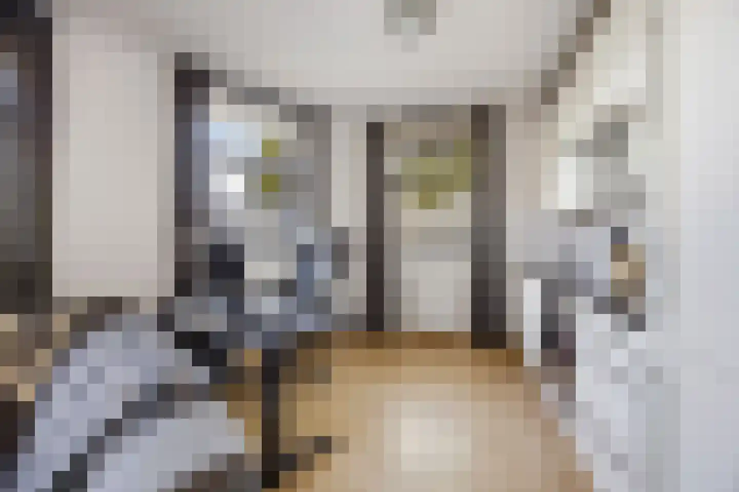 Diepsteeg 7 Raamsdonksveer thumbnail 10