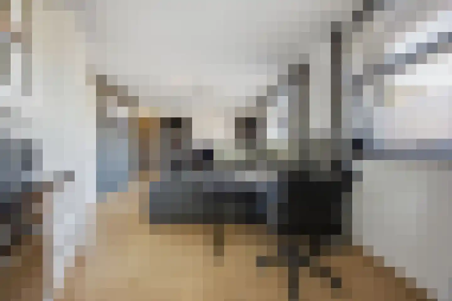 Diepsteeg 7 Raamsdonksveer thumbnail 12