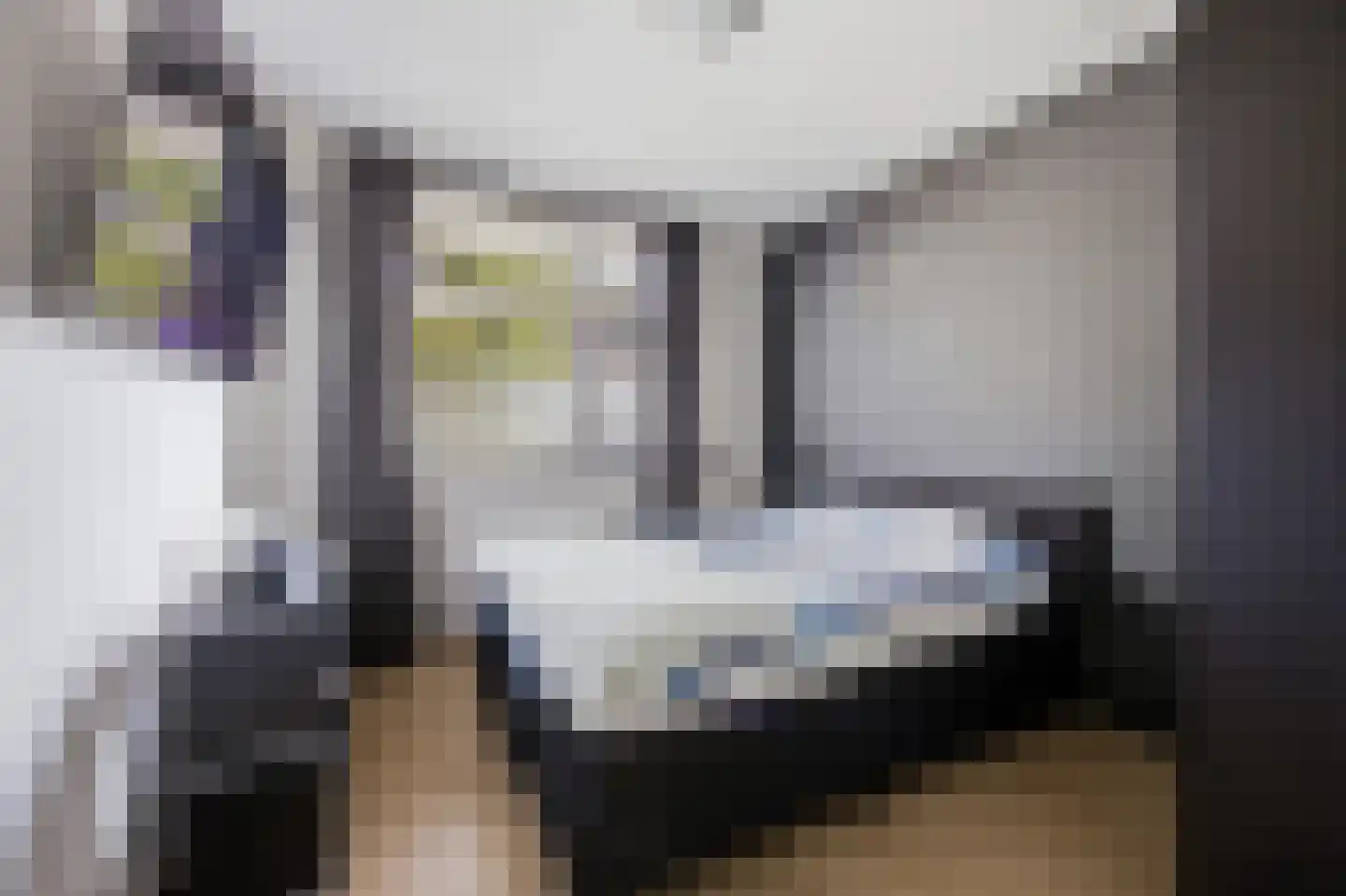 Diepsteeg 7 Raamsdonksveer thumbnail 14