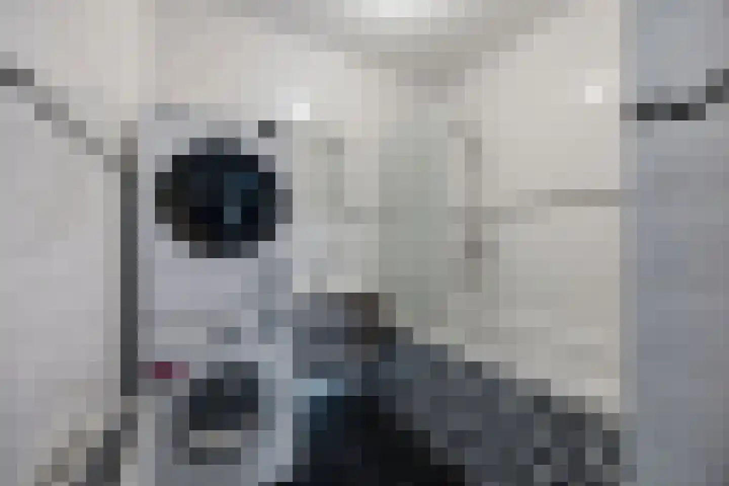 Diepsteeg 7 Raamsdonksveer thumbnail 15