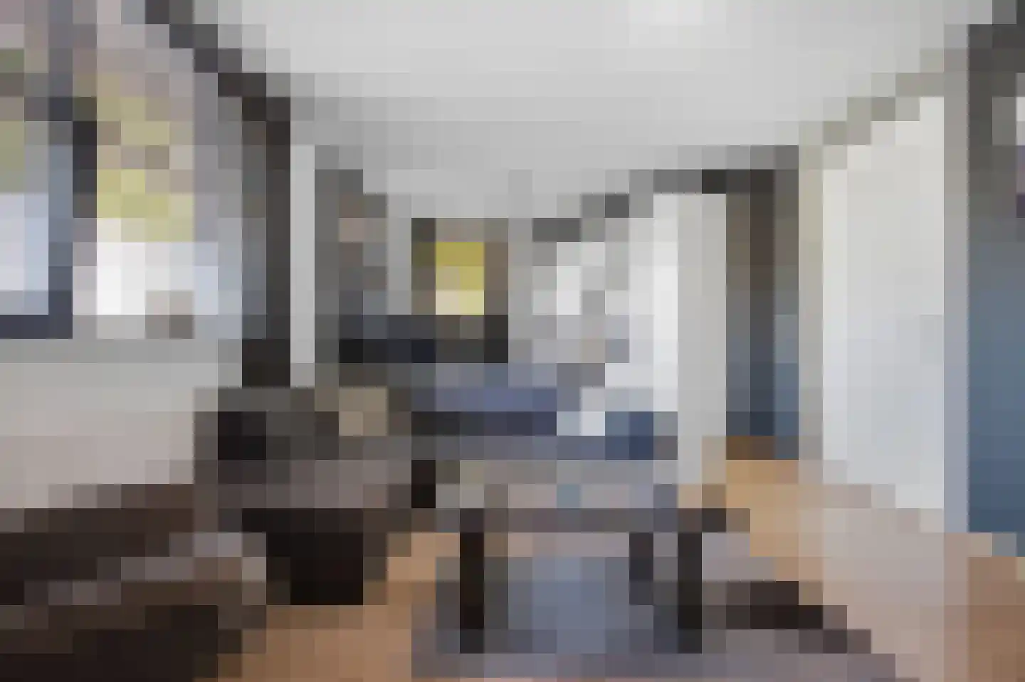 Diepsteeg 7 Raamsdonksveer thumbnail 6