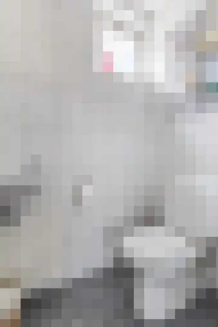 Diepstraat 10 Echt thumbnail 11