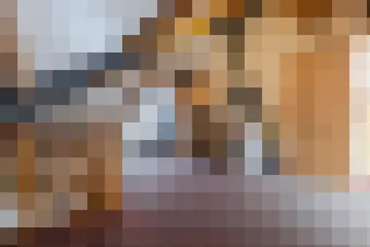 Diepstraat 10 Echt thumbnail 41