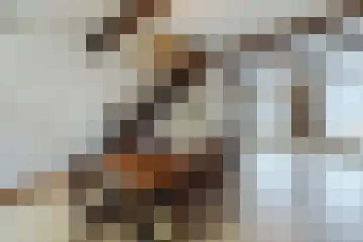 Diepstraat 15 A Echt thumbnail 11