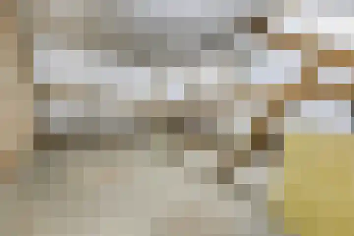 Diepstraat 15 A Echt thumbnail 33