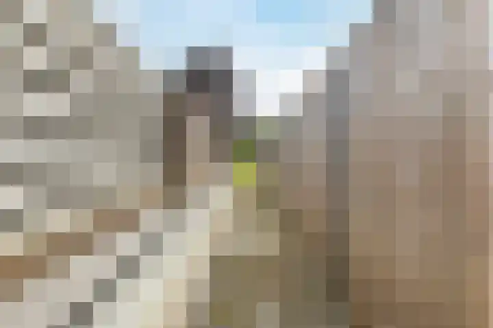 Diepstraat 15 A Echt thumbnail 40