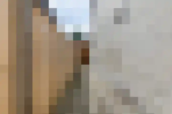 Diepstraat 15 A Echt thumbnail 41