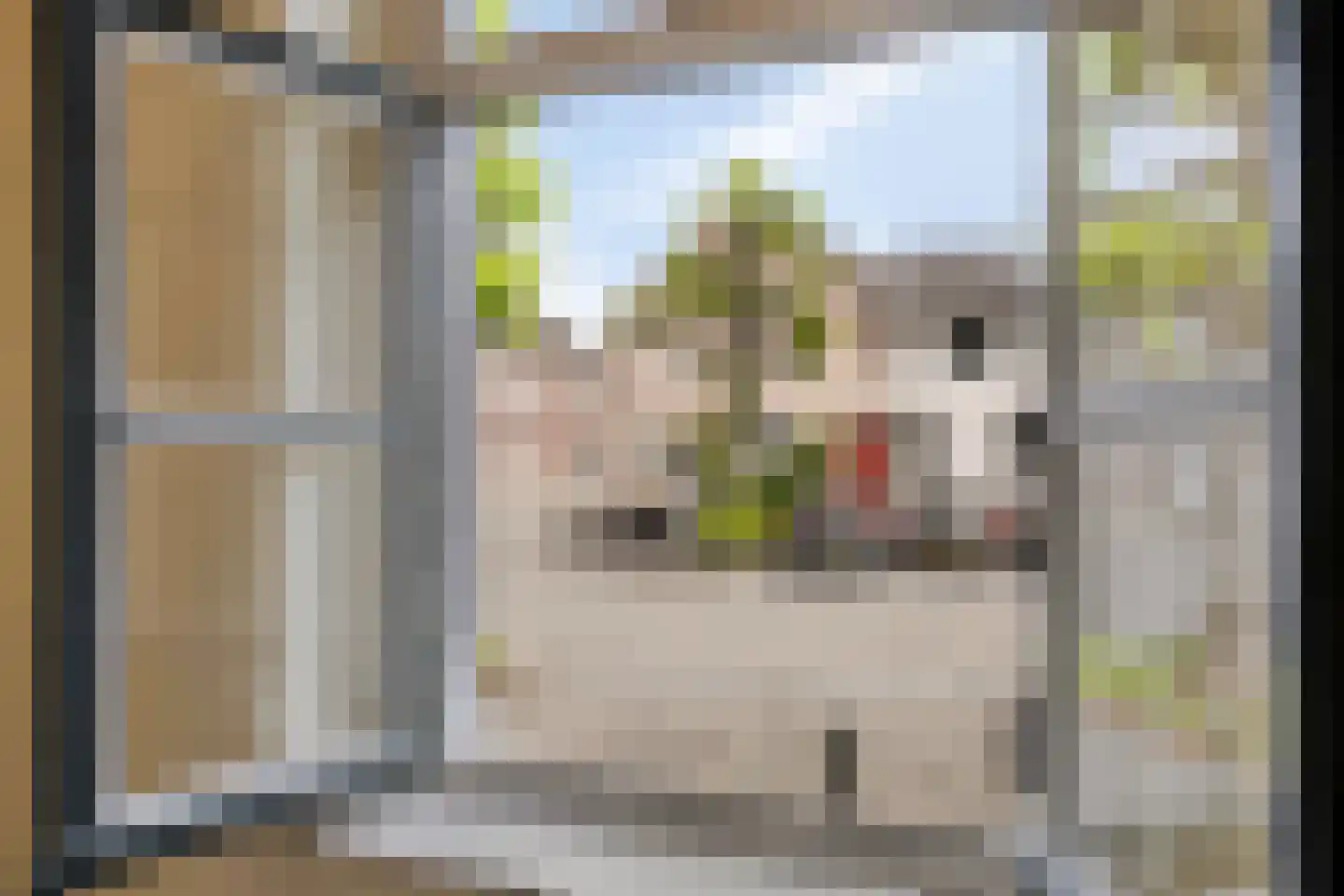 Diepstraat 25 Eijsden thumbnail 13