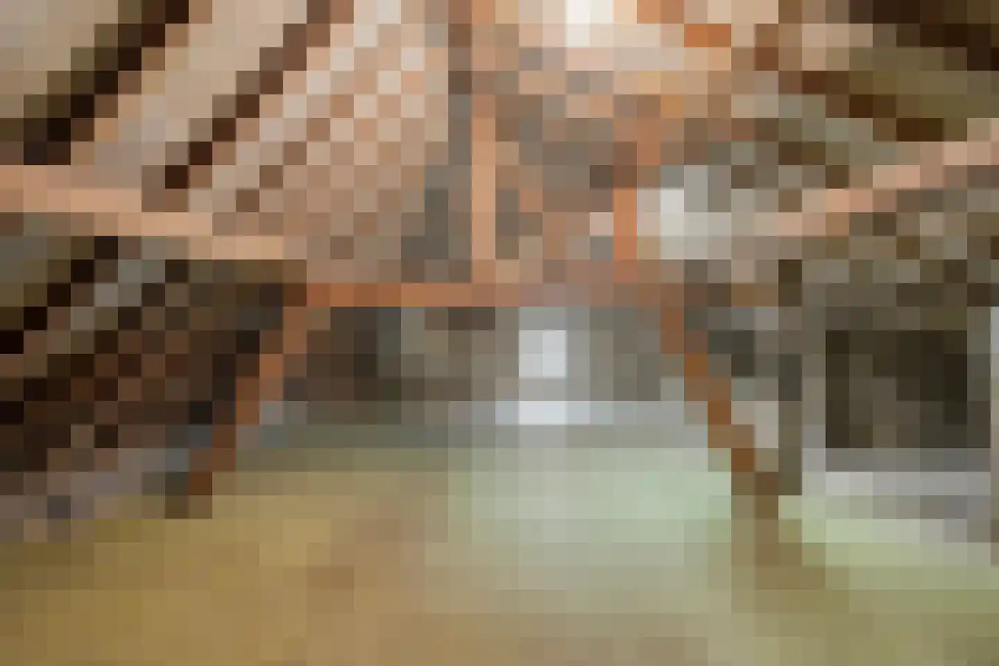 Diepstraat 25 Eijsden thumbnail 26
