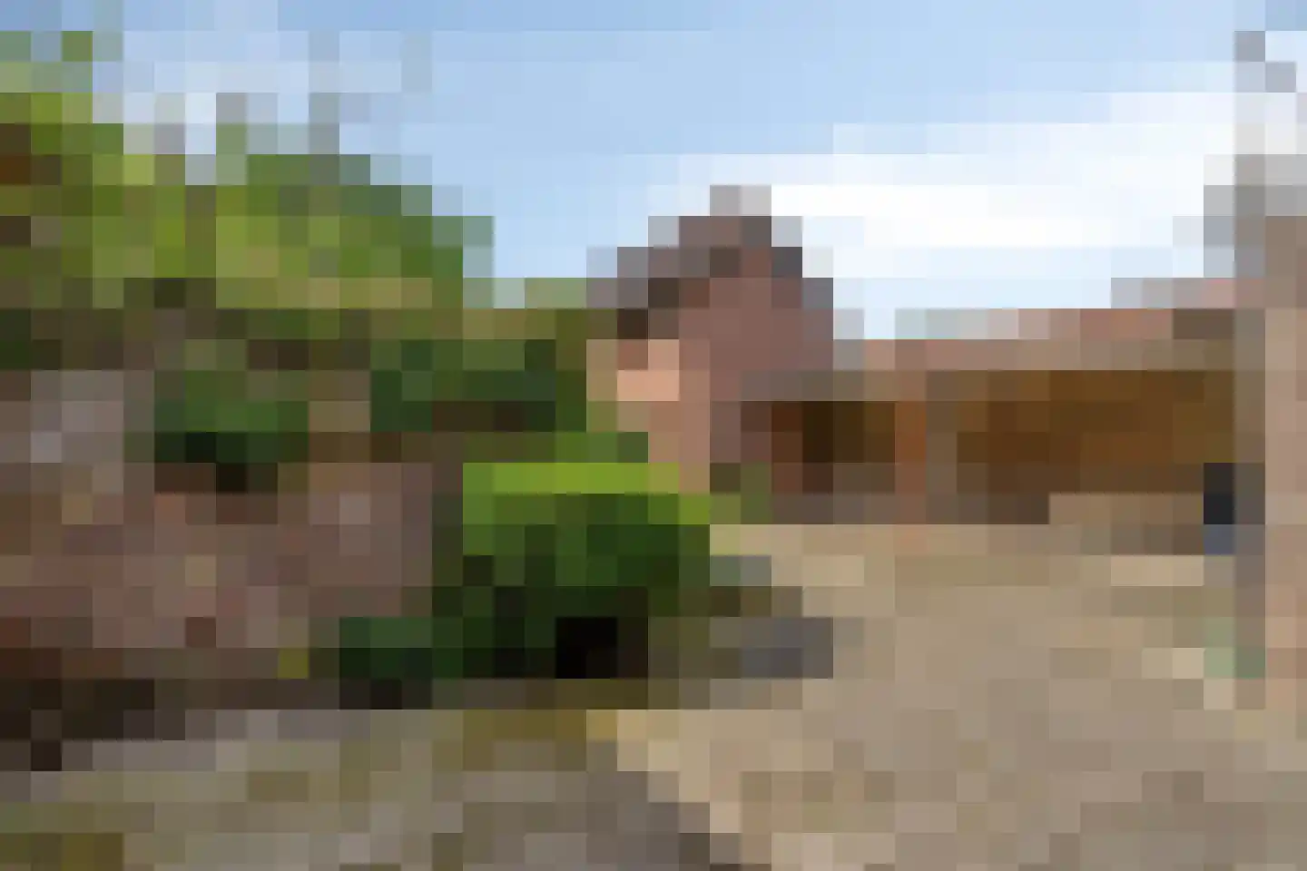 Diepstraat 25 Eijsden thumbnail 33
