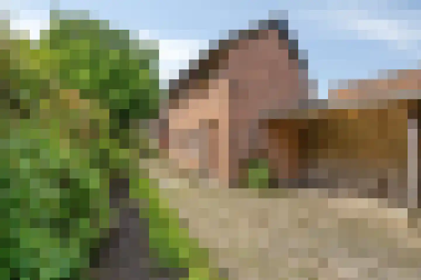 Diepstraat 25 Eijsden thumbnail 35