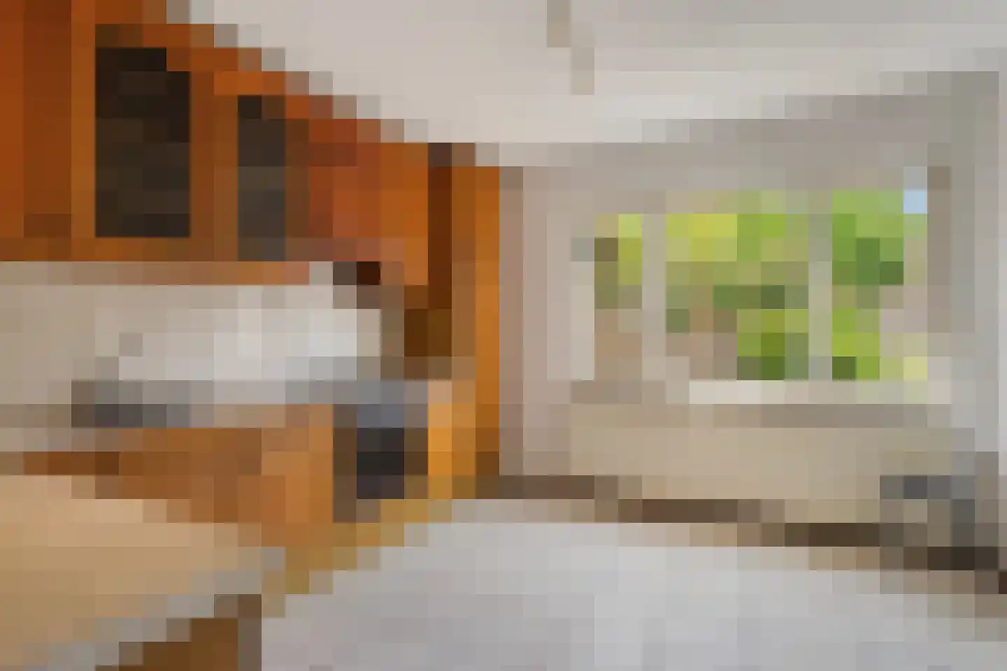Diepstraat 25 Eijsden thumbnail 8